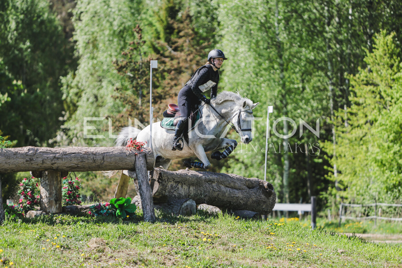 Parnu_CHI_3V_2026_CCN80_XC_268