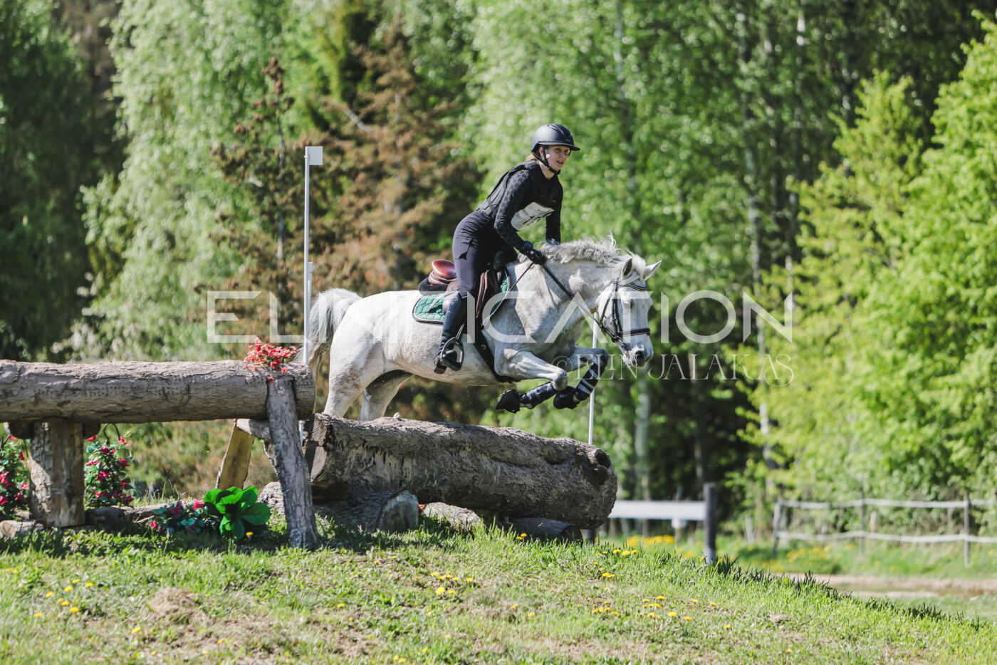 Parnu_CHI_3V_2026_CCN80_XC_270