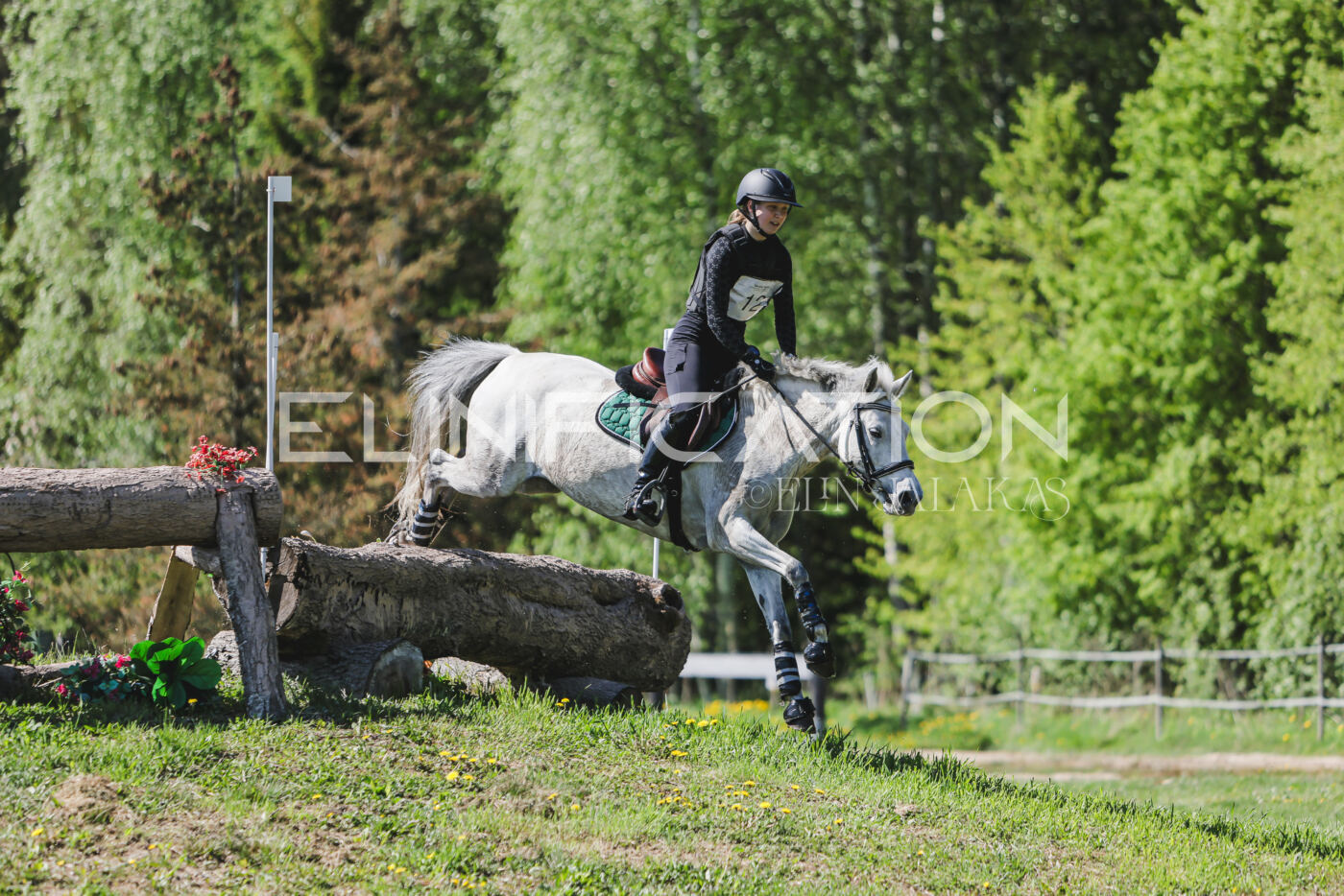 Parnu_CHI_3V_2026_CCN80_XC_271
