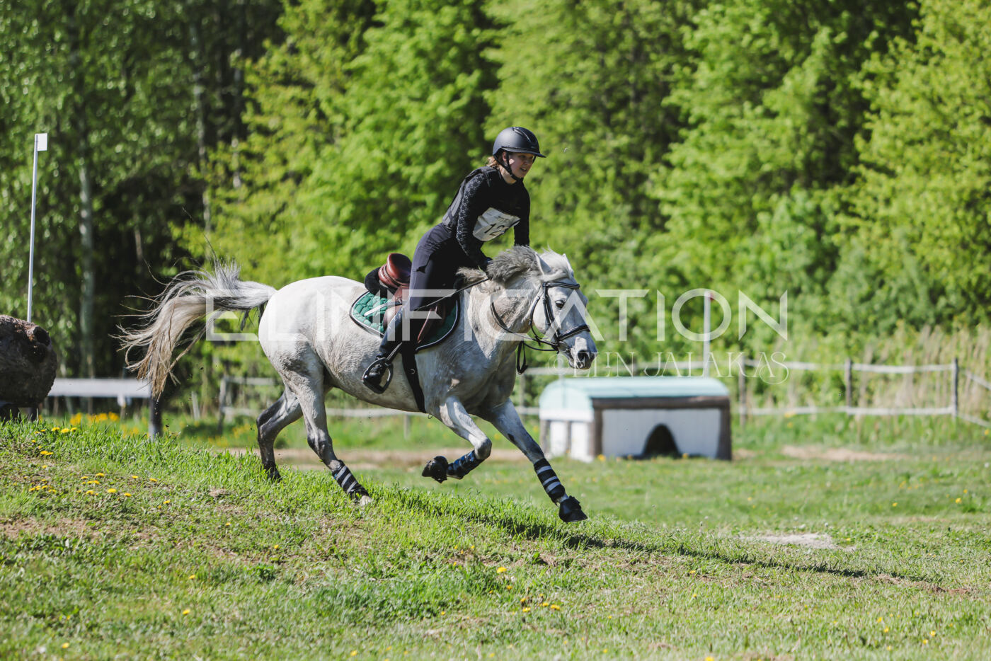 Parnu_CHI_3V_2026_CCN80_XC_272