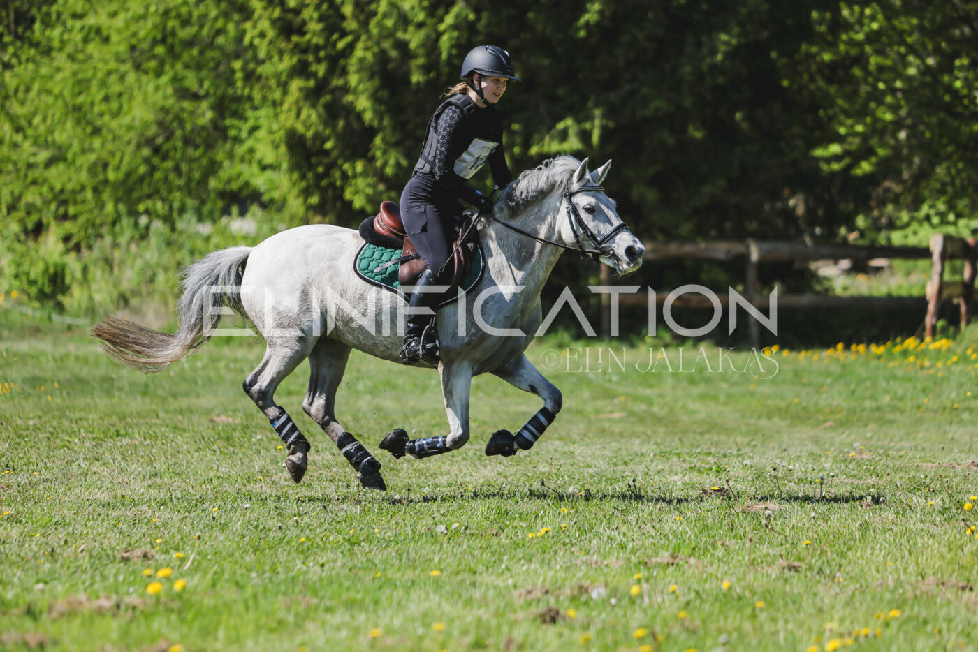 Parnu_CHI_3V_2026_CCN80_XC_273