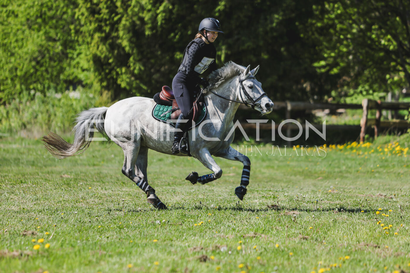 Parnu_CHI_3V_2026_CCN80_XC_274