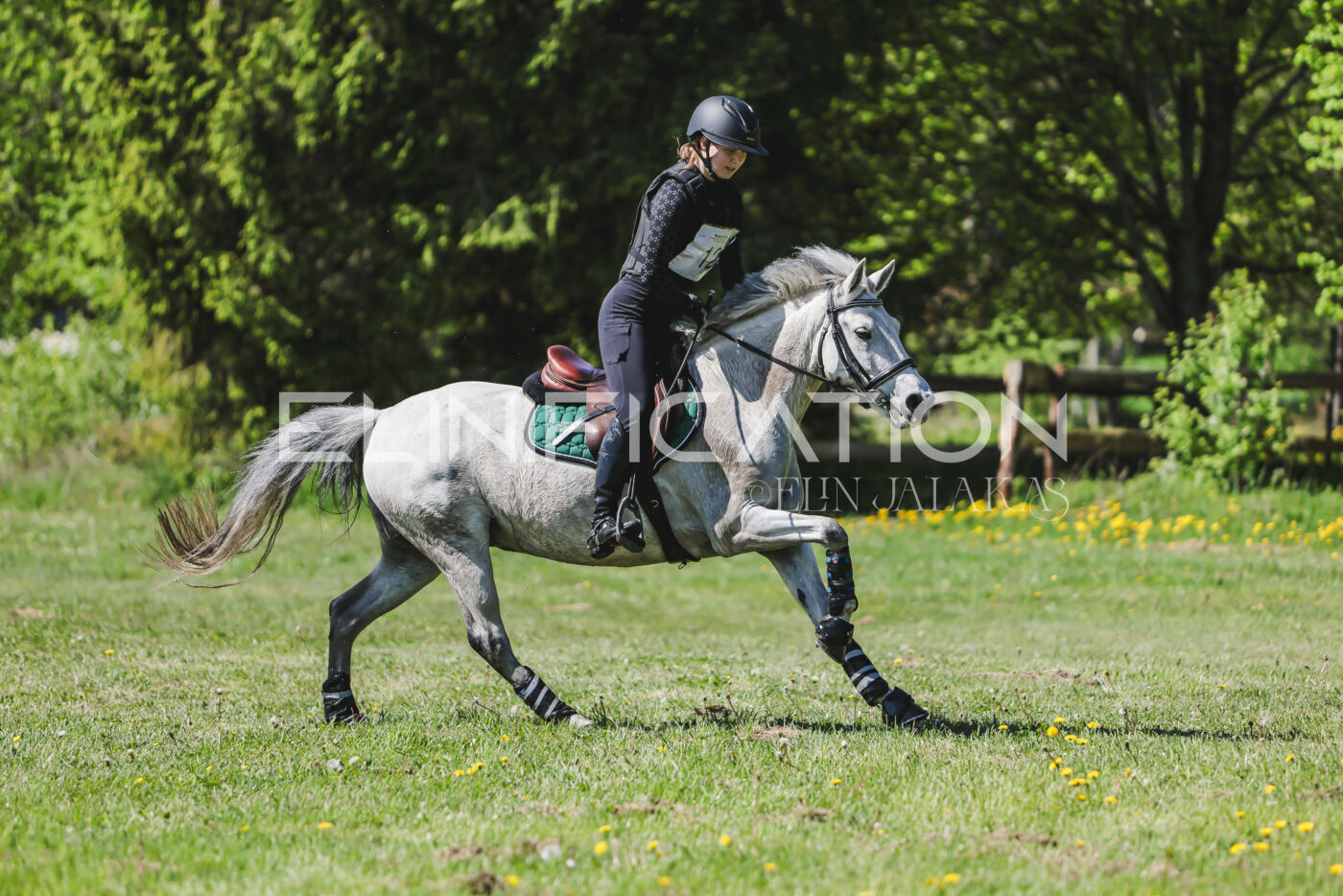Parnu_CHI_3V_2026_CCN80_XC_276