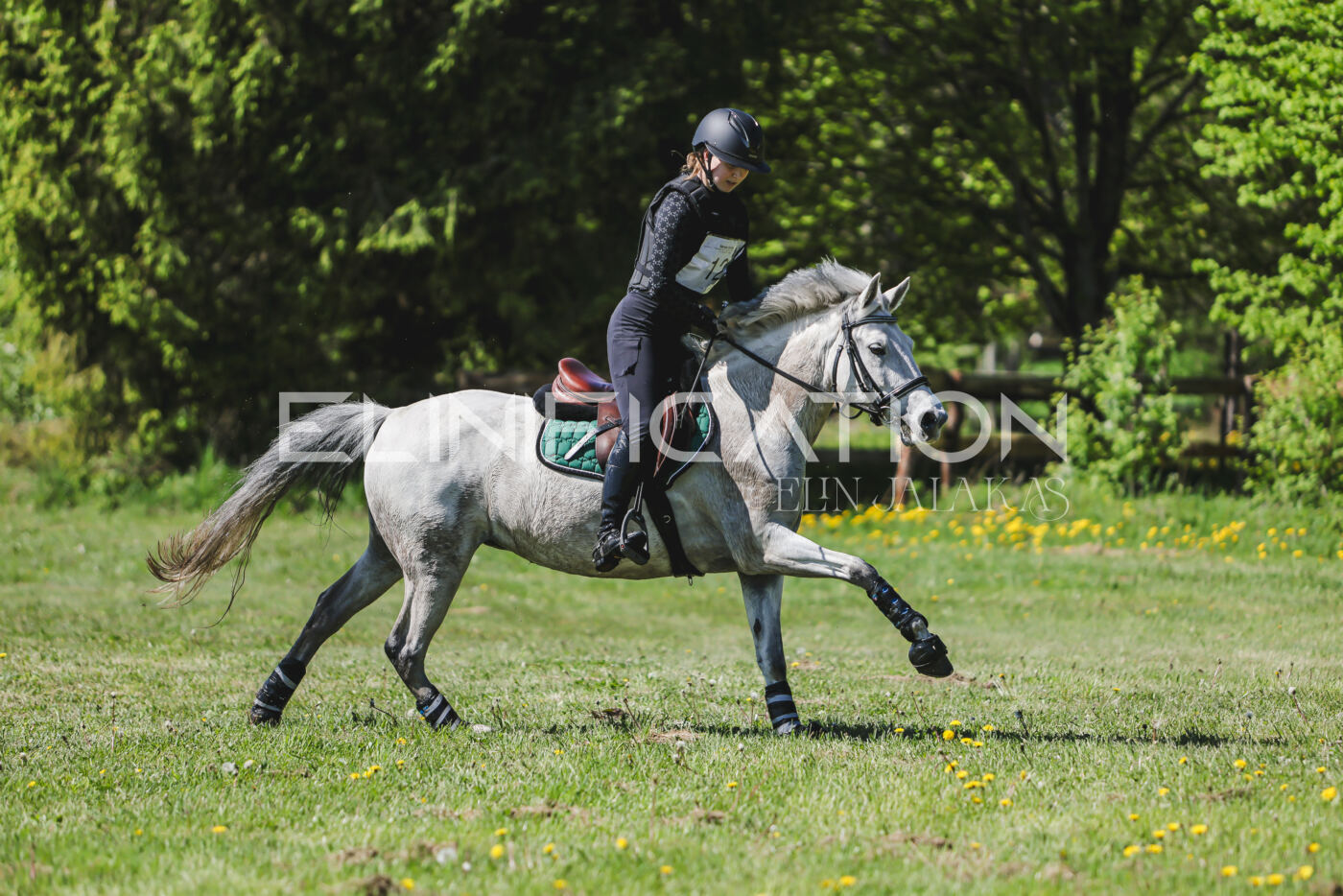 Parnu_CHI_3V_2026_CCN80_XC_277