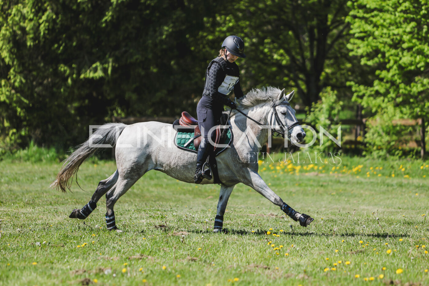 Parnu_CHI_3V_2026_CCN80_XC_278