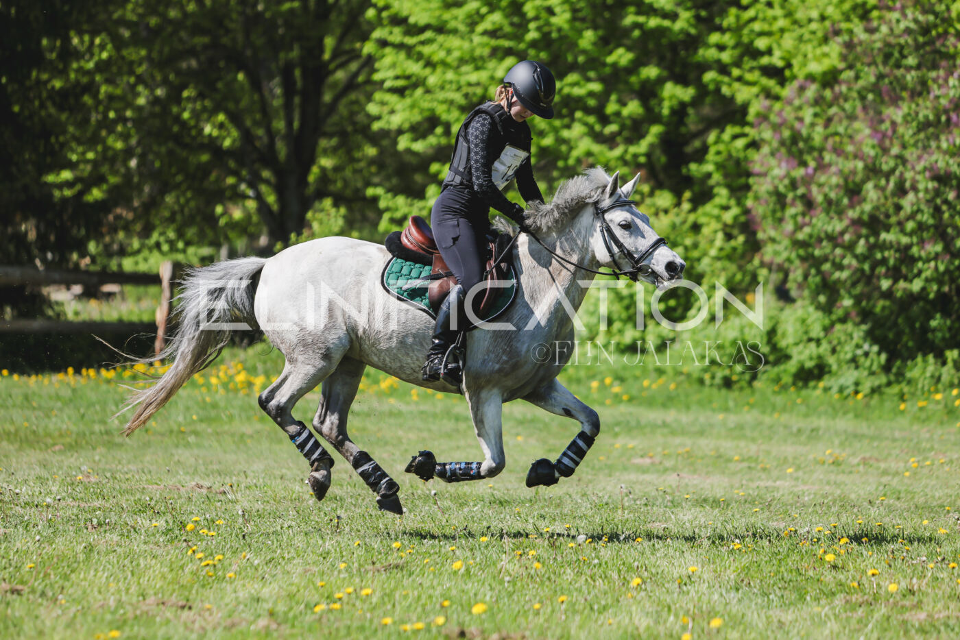 Parnu_CHI_3V_2026_CCN80_XC_279