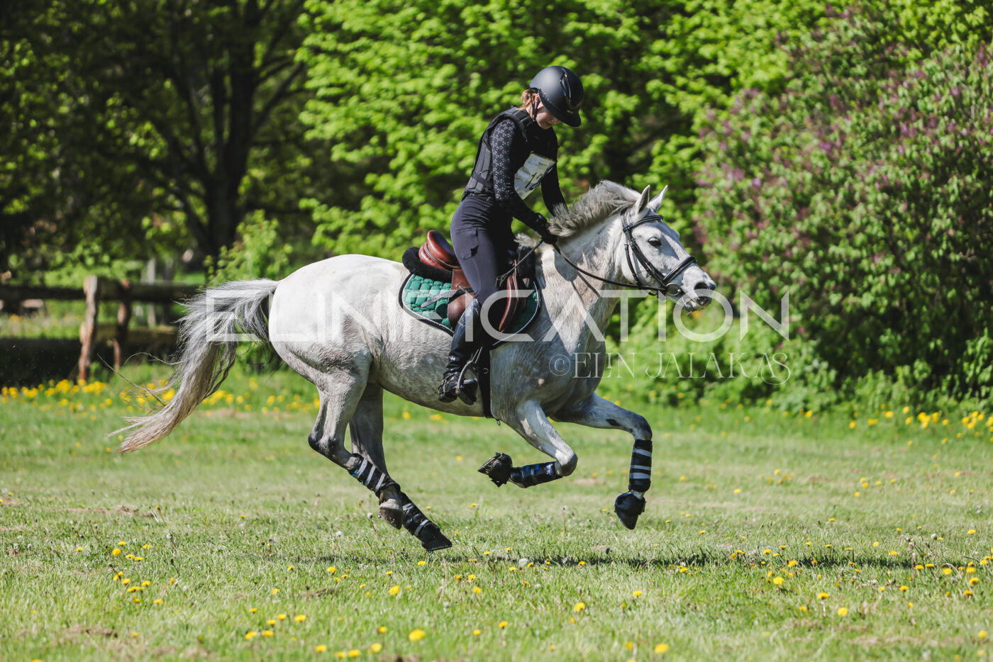 Parnu_CHI_3V_2026_CCN80_XC_280