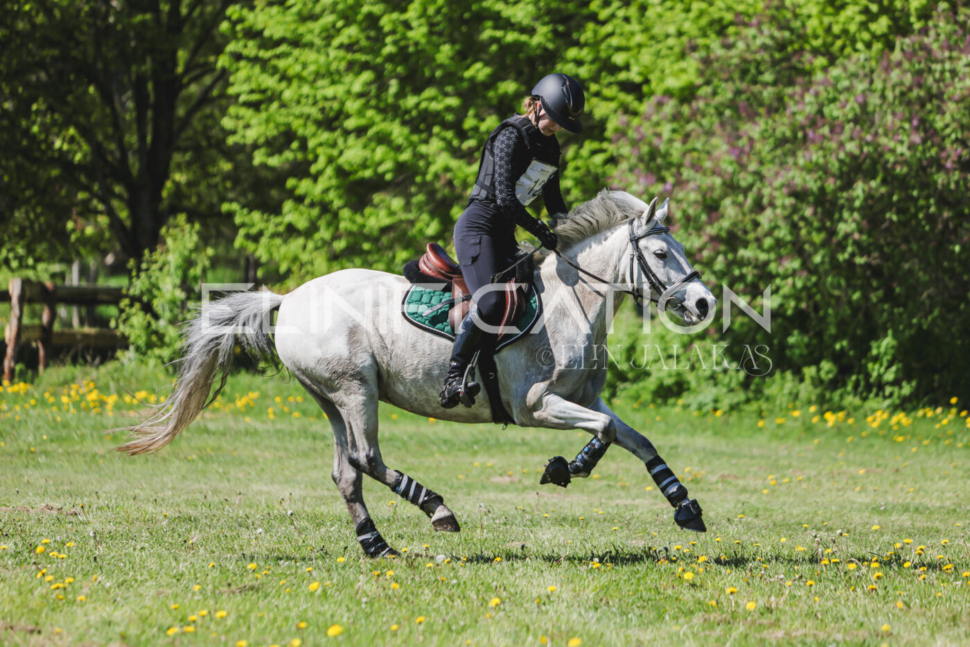 Parnu_CHI_3V_2026_CCN80_XC_281