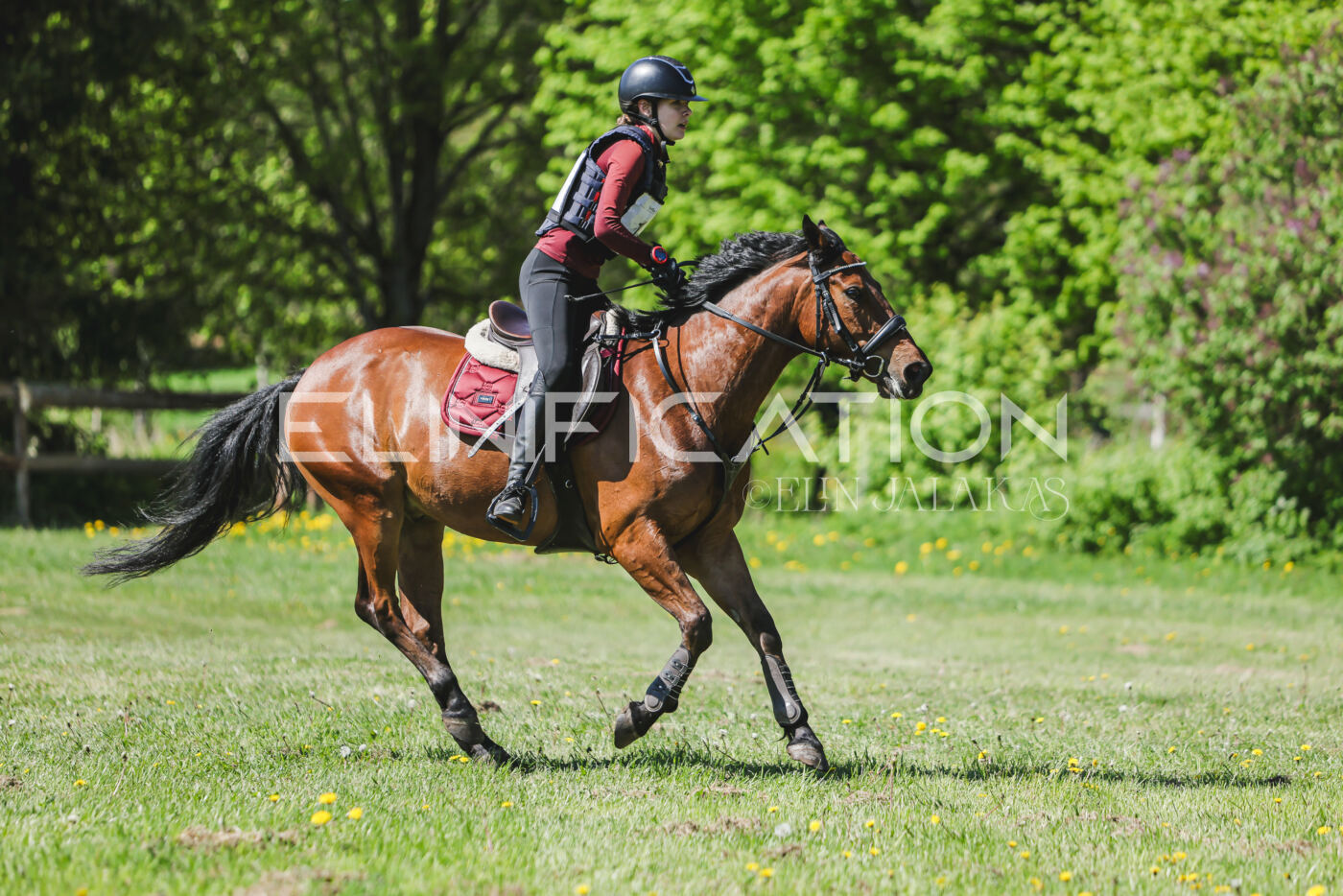 Parnu_CHI_3V_2026_CCN80_XC_298