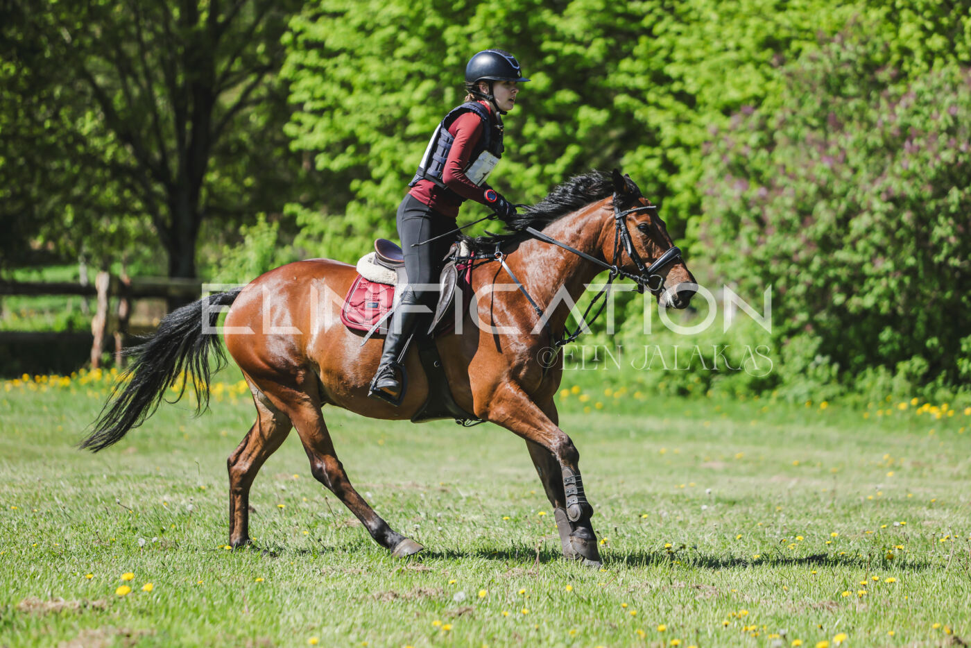 Parnu_CHI_3V_2026_CCN80_XC_299