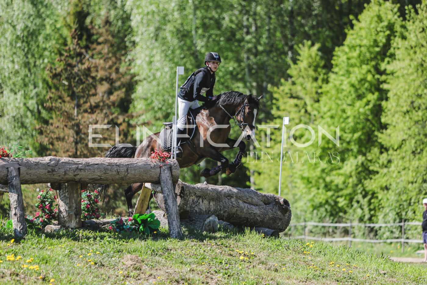 Parnu_CHI_3V_2026_CCN80_XC_306