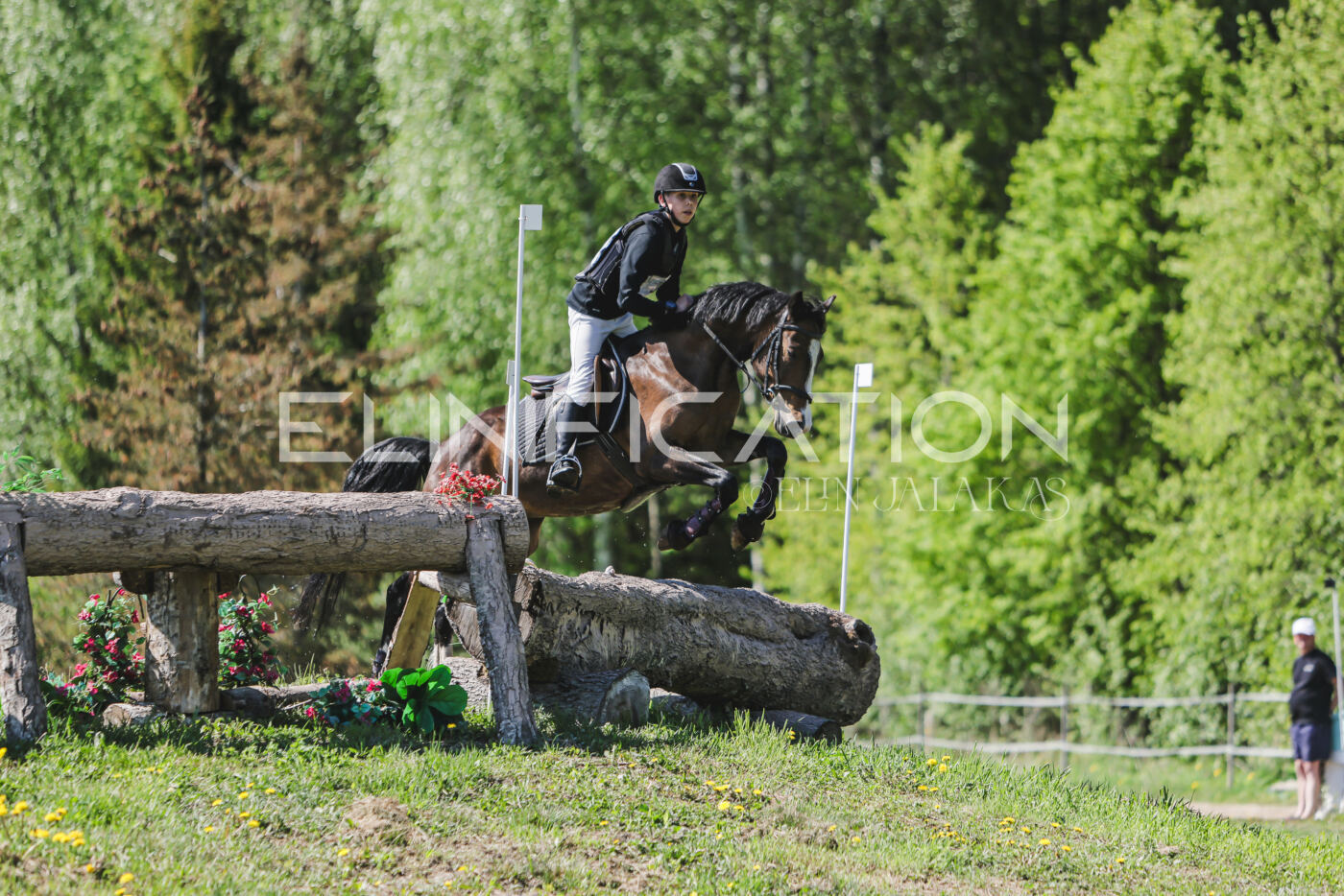 Parnu_CHI_3V_2026_CCN80_XC_307
