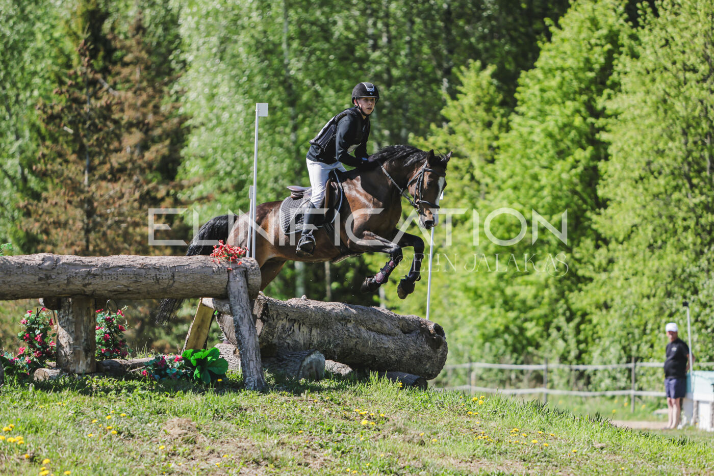 Parnu_CHI_3V_2026_CCN80_XC_308