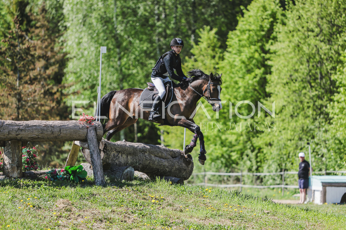 Parnu_CHI_3V_2026_CCN80_XC_310