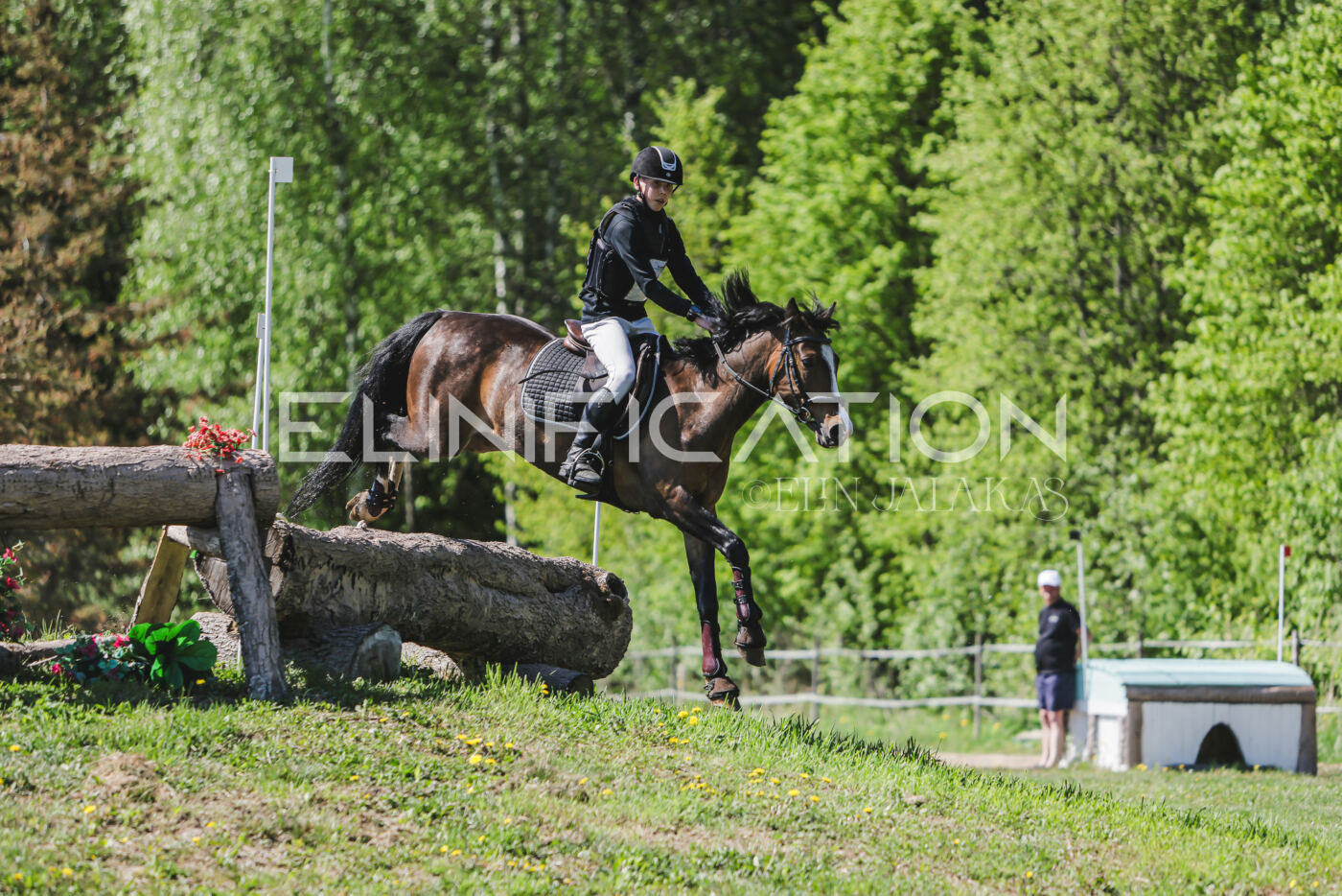 Parnu_CHI_3V_2026_CCN80_XC_311
