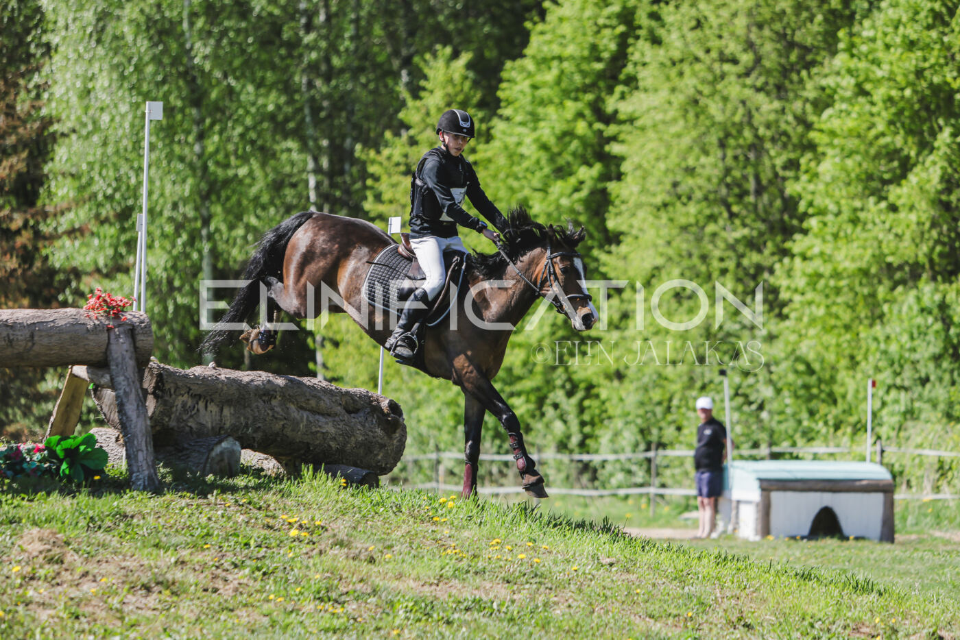 Parnu_CHI_3V_2026_CCN80_XC_312