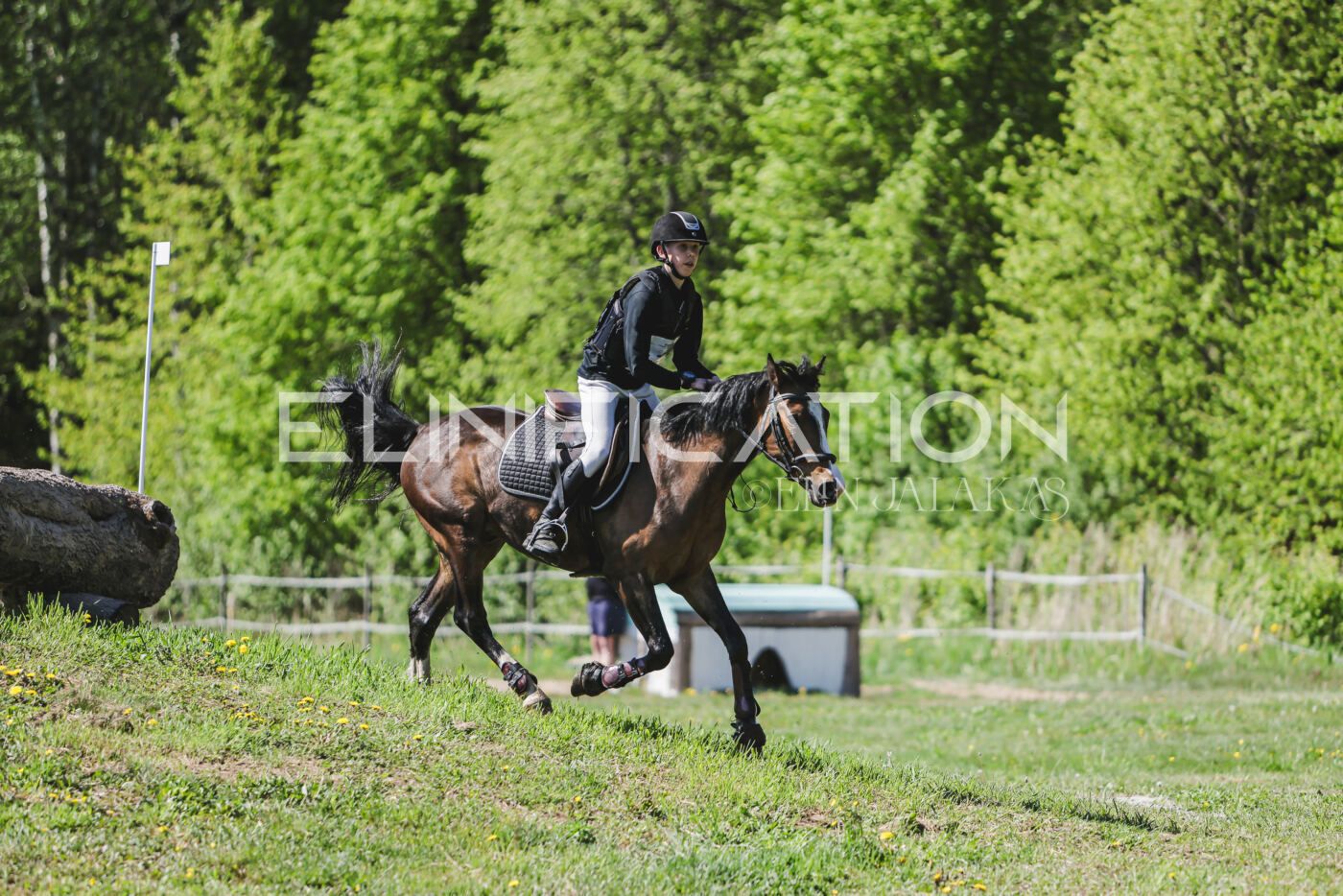 Parnu_CHI_3V_2026_CCN80_XC_313