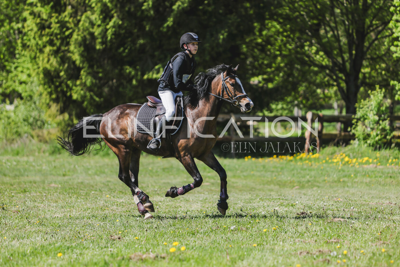 Parnu_CHI_3V_2026_CCN80_XC_315