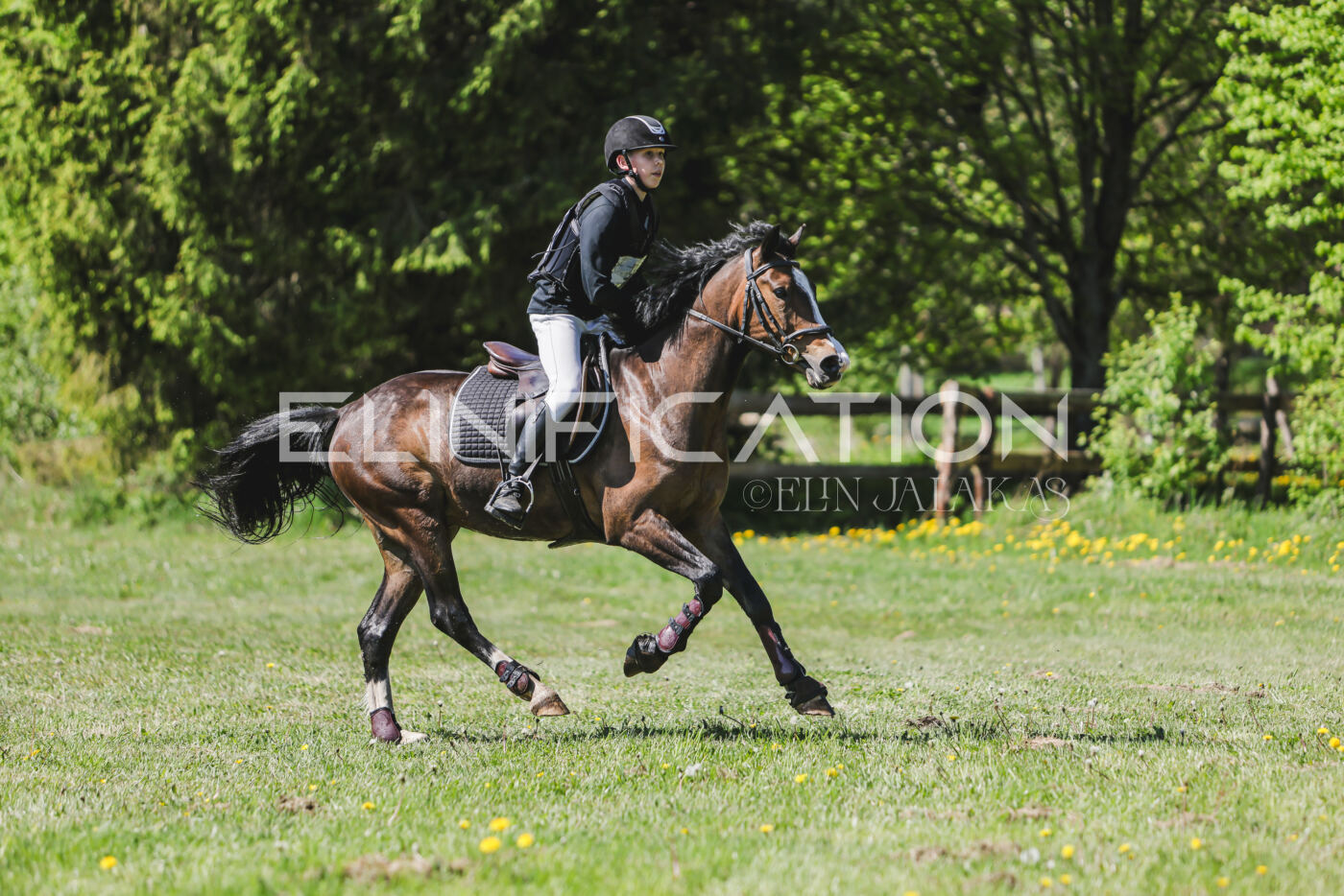Parnu_CHI_3V_2026_CCN80_XC_316