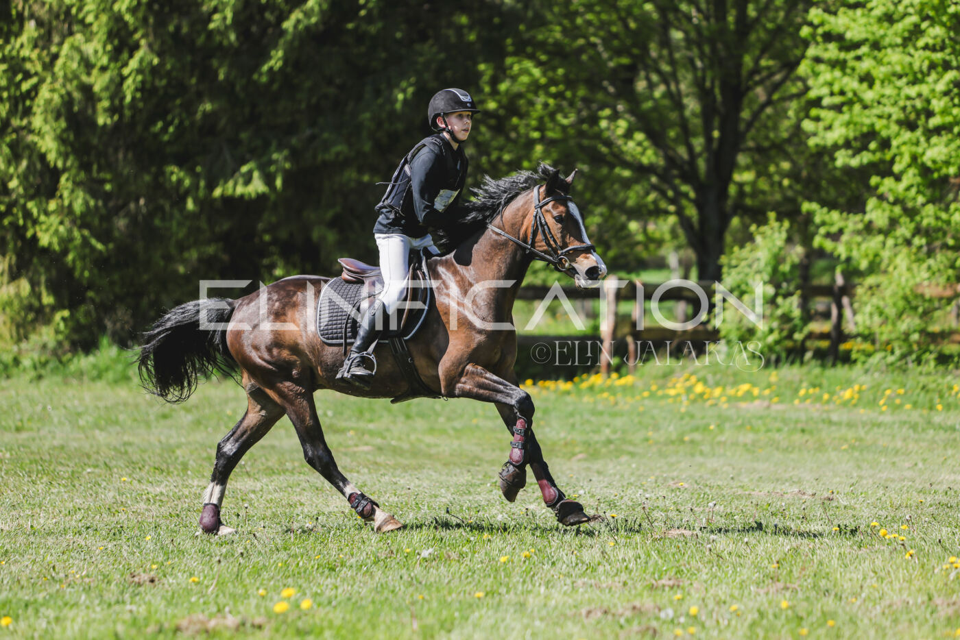 Parnu_CHI_3V_2026_CCN80_XC_317