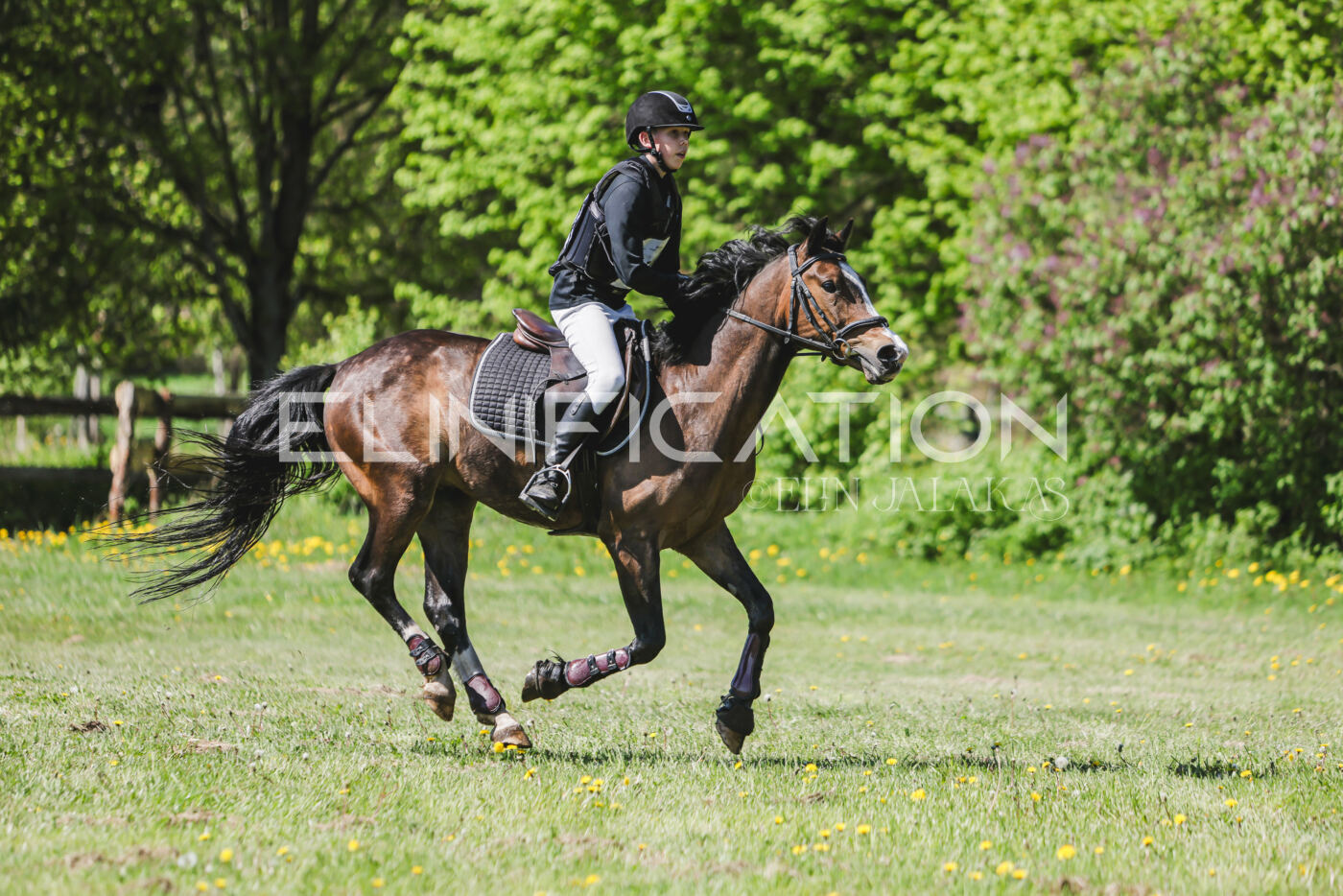 Parnu_CHI_3V_2026_CCN80_XC_318
