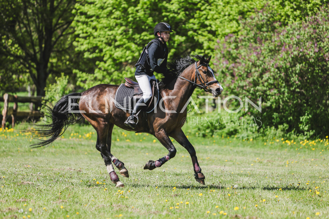 Parnu_CHI_3V_2026_CCN80_XC_319