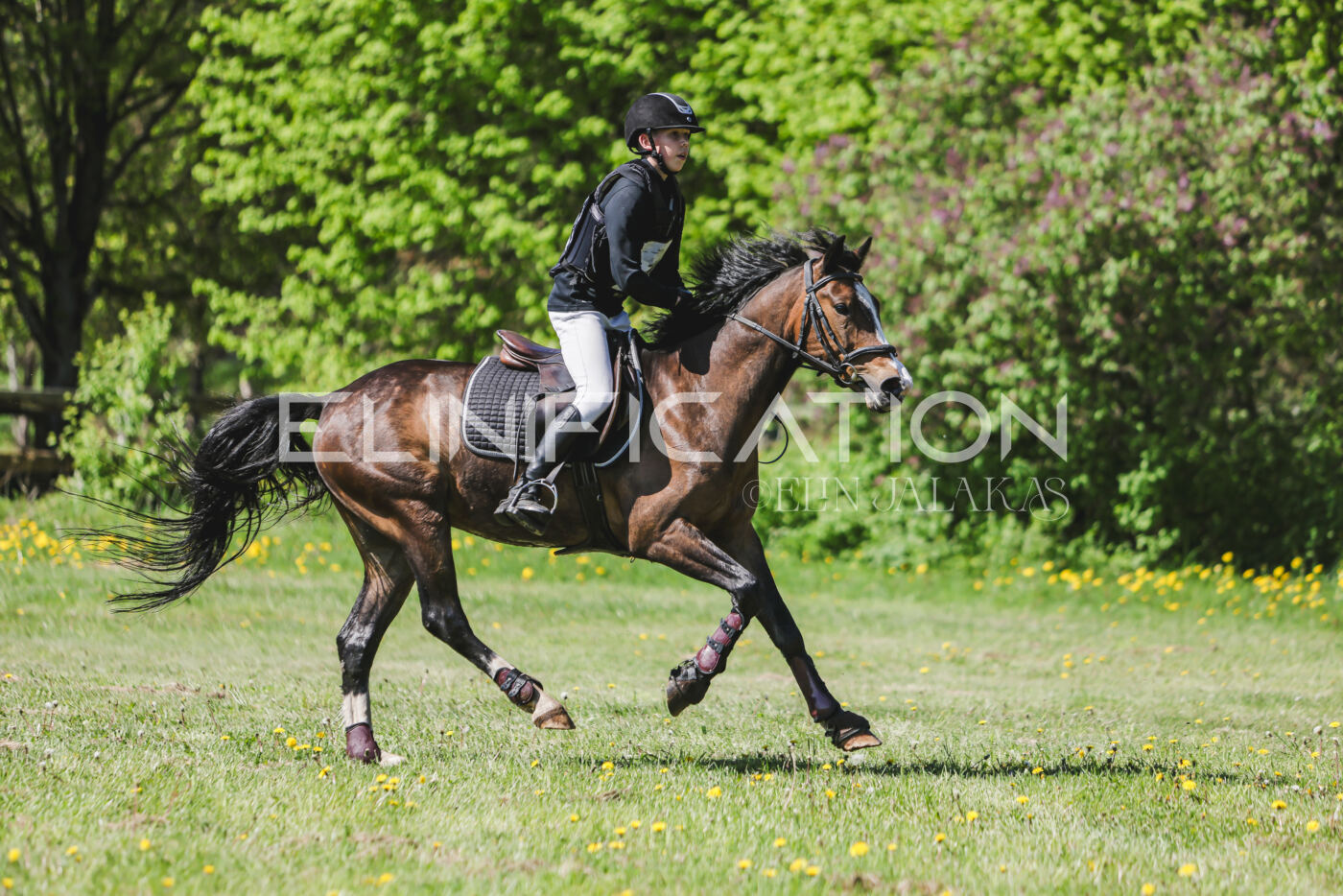 Parnu_CHI_3V_2026_CCN80_XC_320