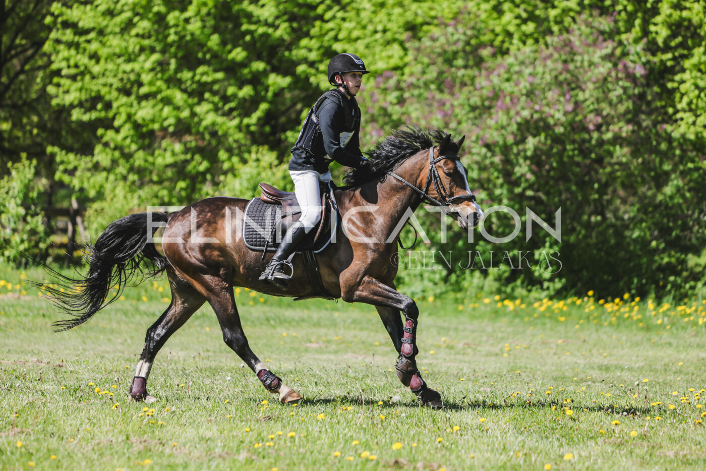 Parnu_CHI_3V_2026_CCN80_XC_321