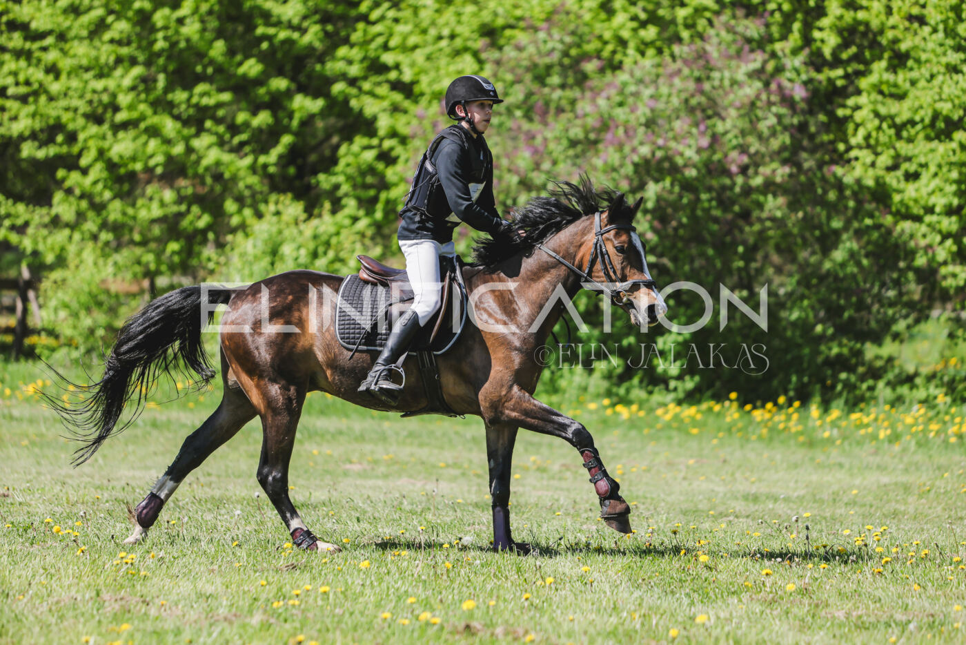Parnu_CHI_3V_2026_CCN80_XC_322