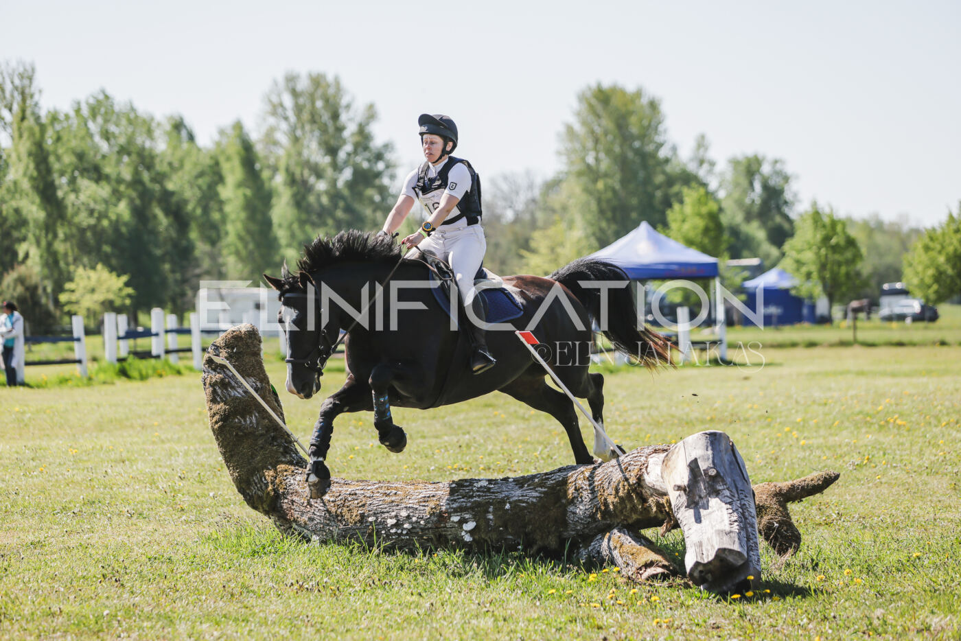 Parnu_CHI_3V_2026_CCN80_XC_324