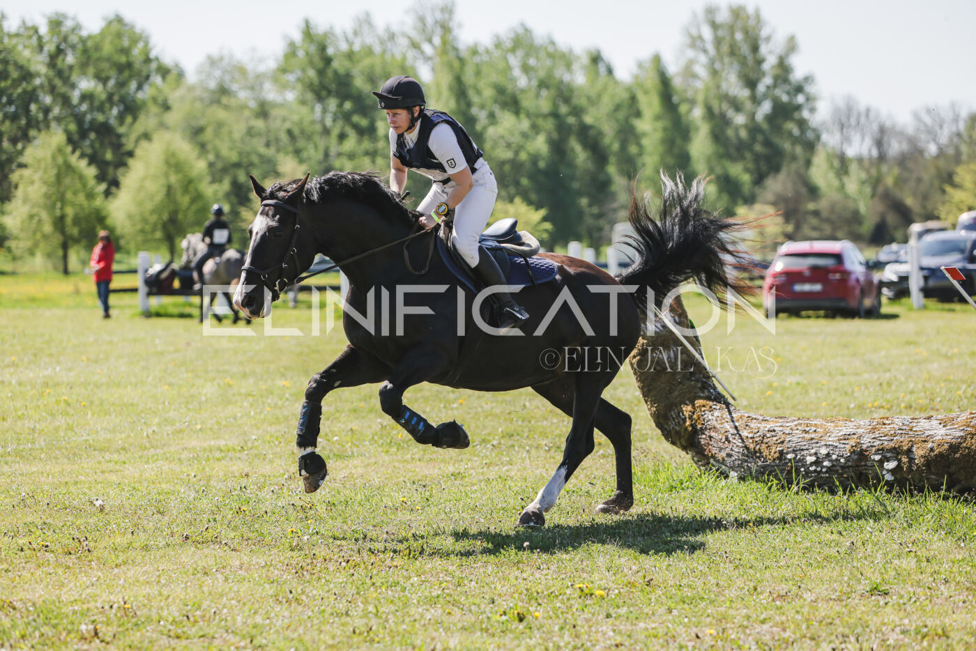 Parnu_CHI_3V_2026_CCN80_XC_325