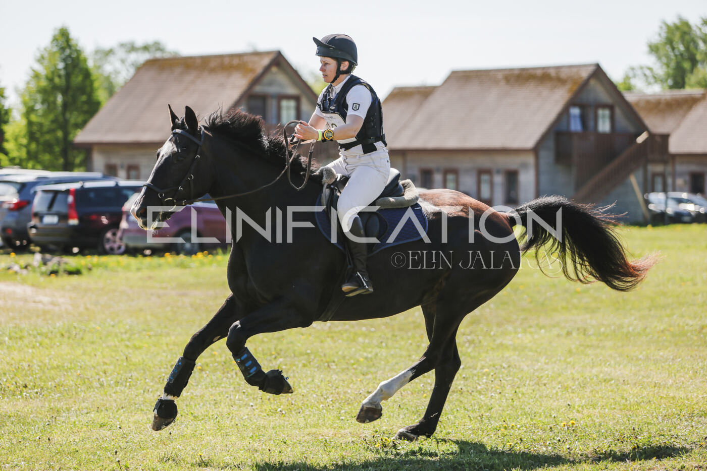Parnu_CHI_3V_2026_CCN80_XC_329