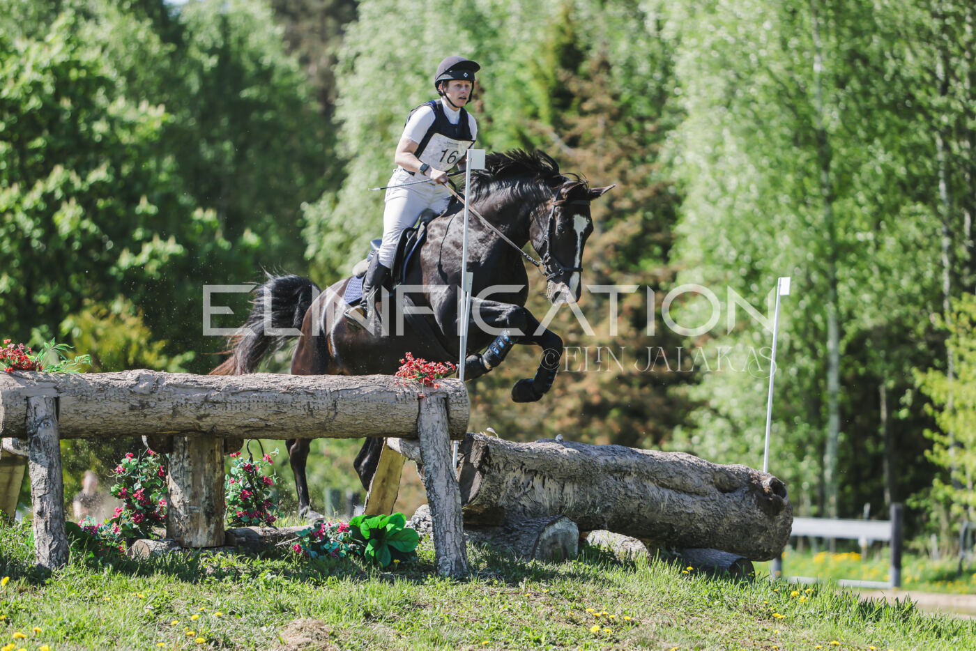 Parnu_CHI_3V_2026_CCN80_XC_339