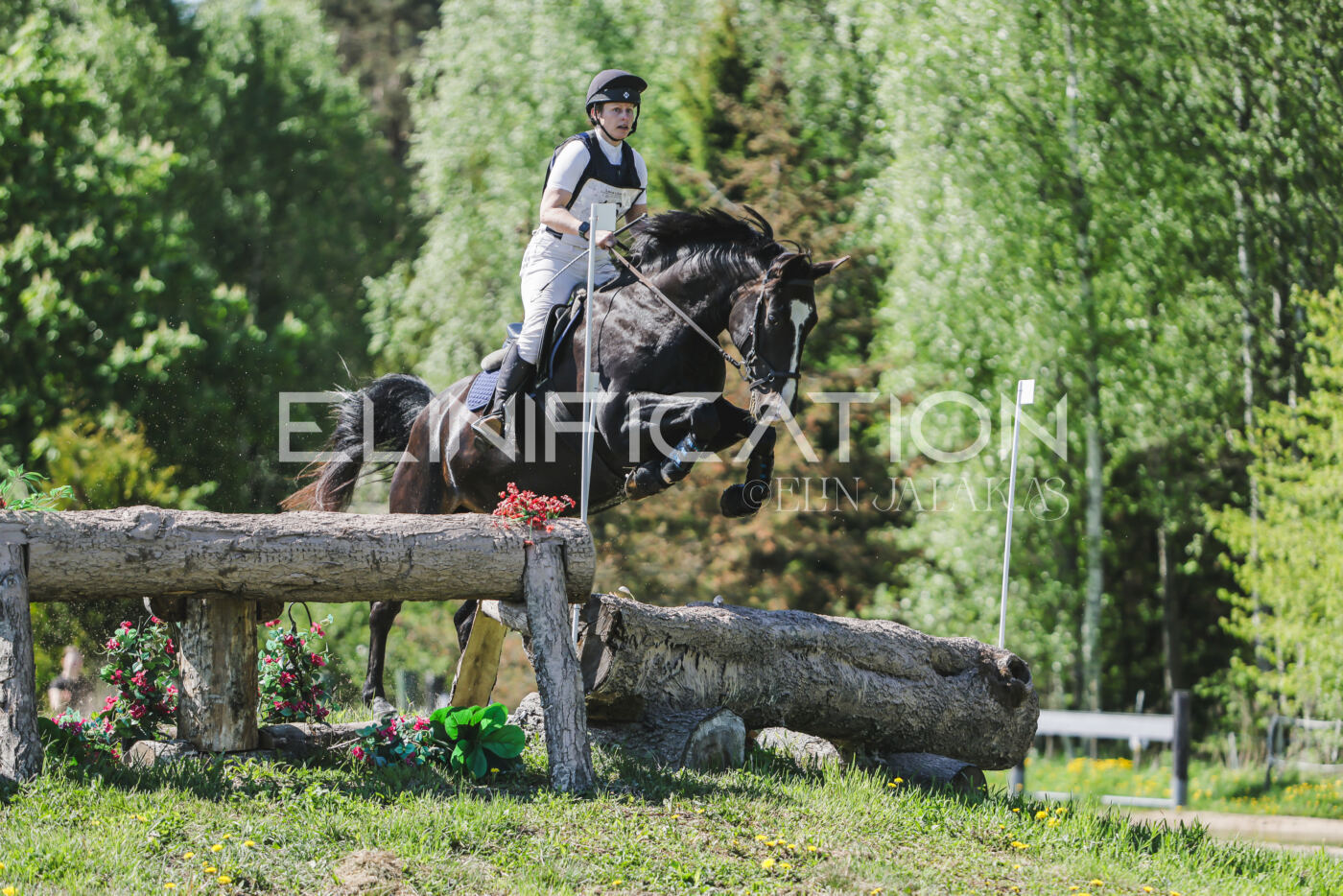 Parnu_CHI_3V_2026_CCN80_XC_340
