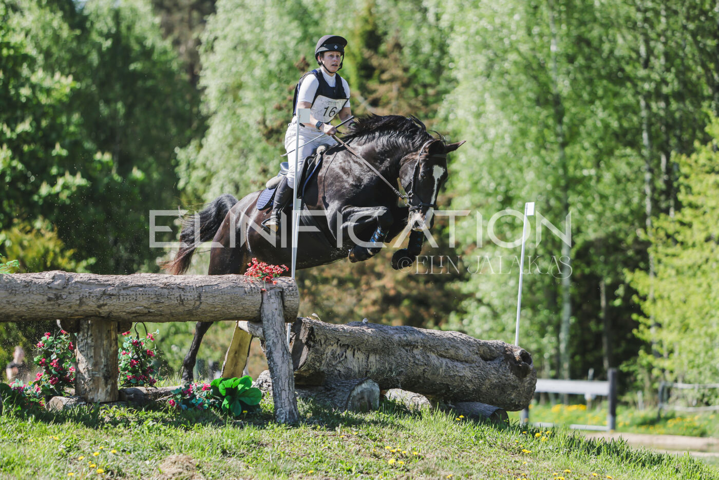 Parnu_CHI_3V_2026_CCN80_XC_341