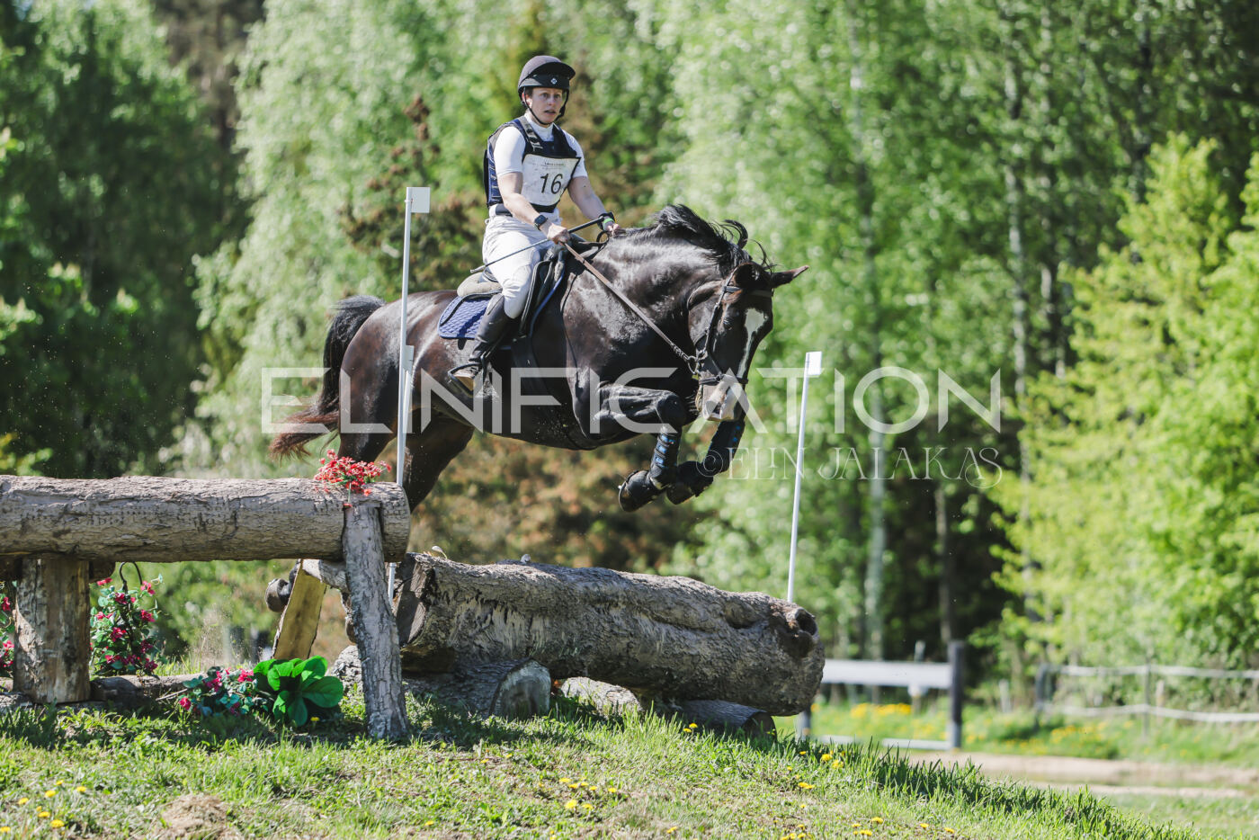 Parnu_CHI_3V_2026_CCN80_XC_342