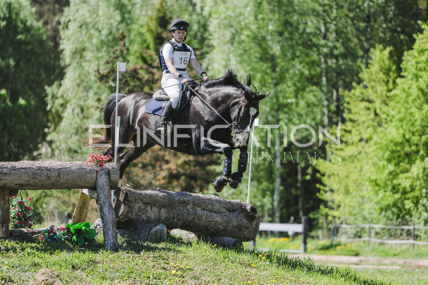 Parnu_CHI_3V_2026_CCN80_XC_343