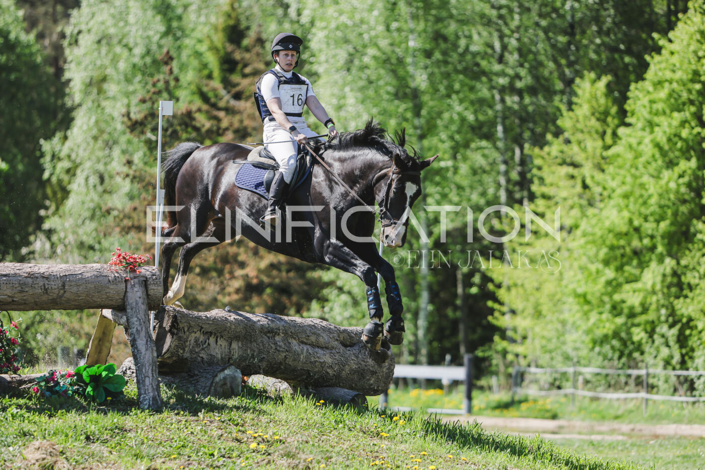 Parnu_CHI_3V_2026_CCN80_XC_344