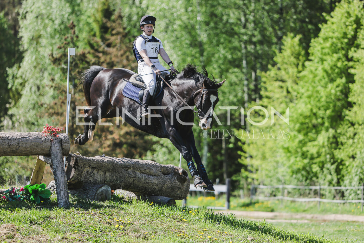 Parnu_CHI_3V_2026_CCN80_XC_345