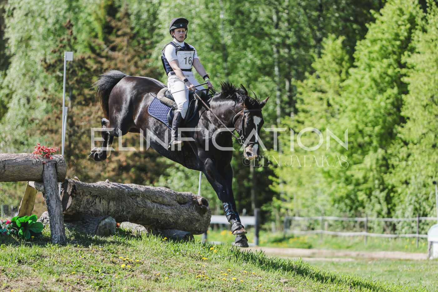 Parnu_CHI_3V_2026_CCN80_XC_346