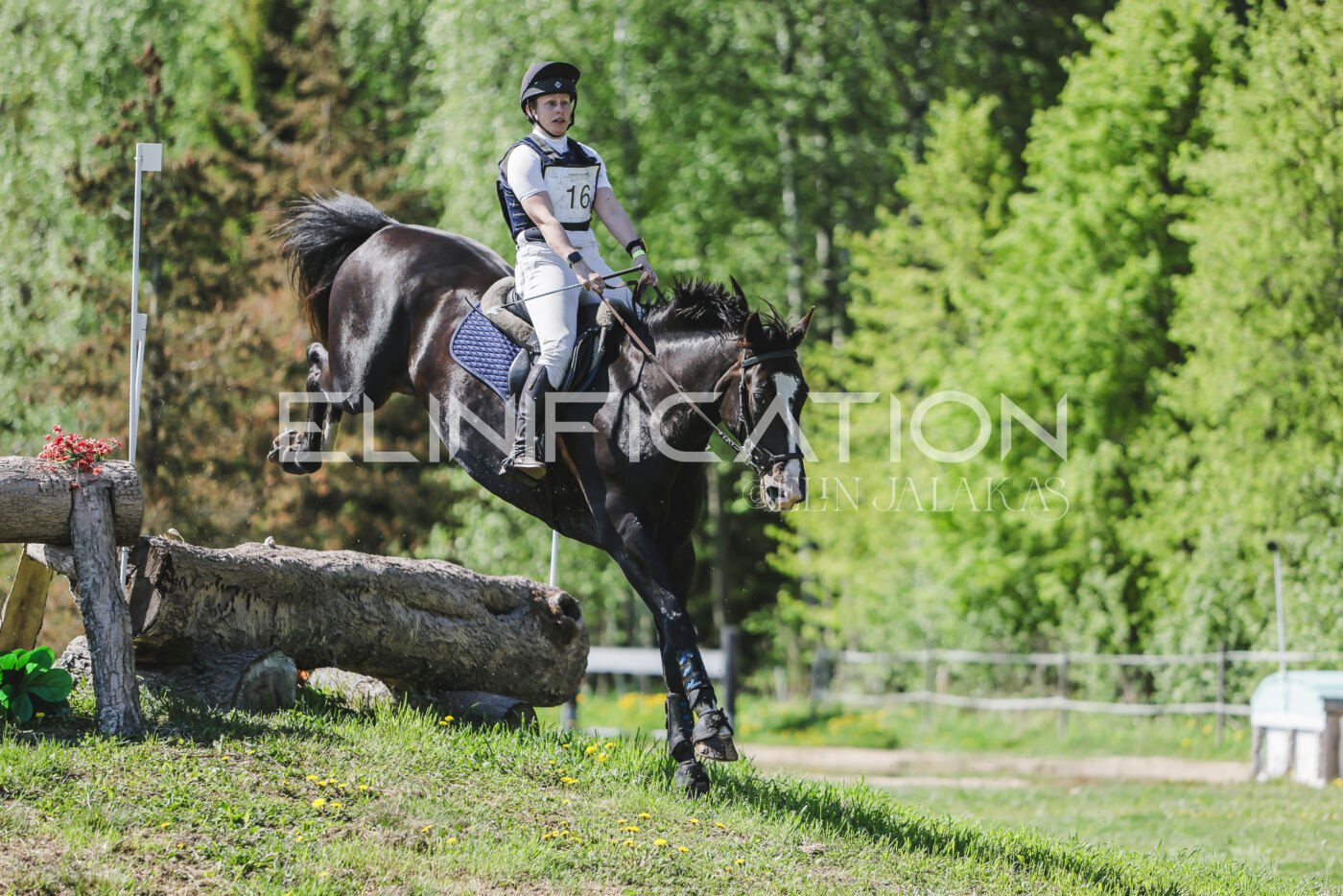 Parnu_CHI_3V_2026_CCN80_XC_347