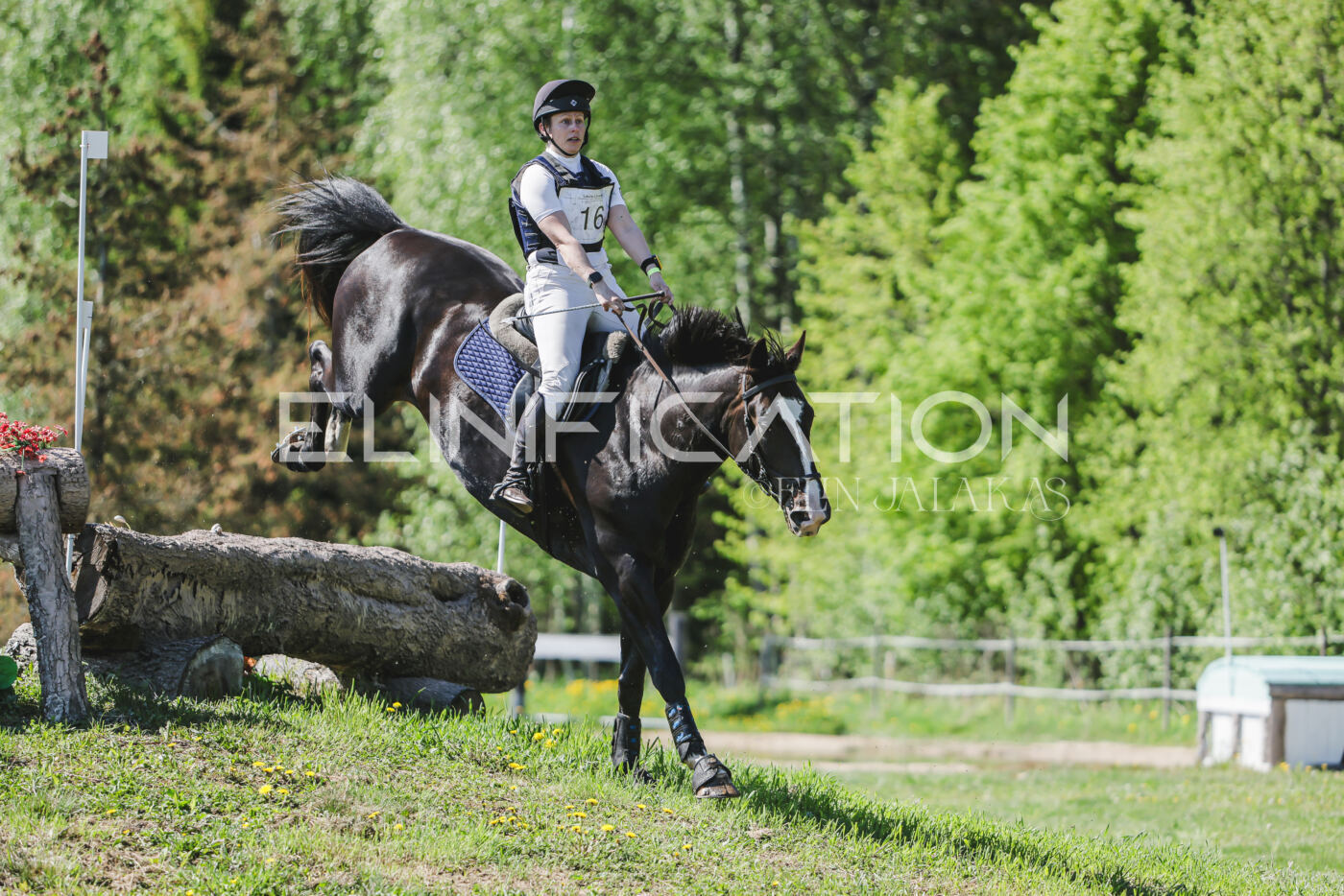 Parnu_CHI_3V_2026_CCN80_XC_348