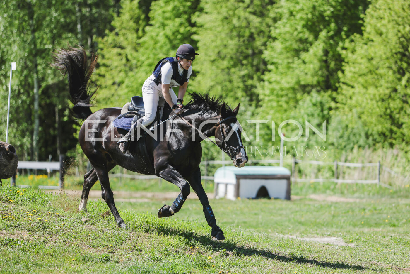 Parnu_CHI_3V_2026_CCN80_XC_349