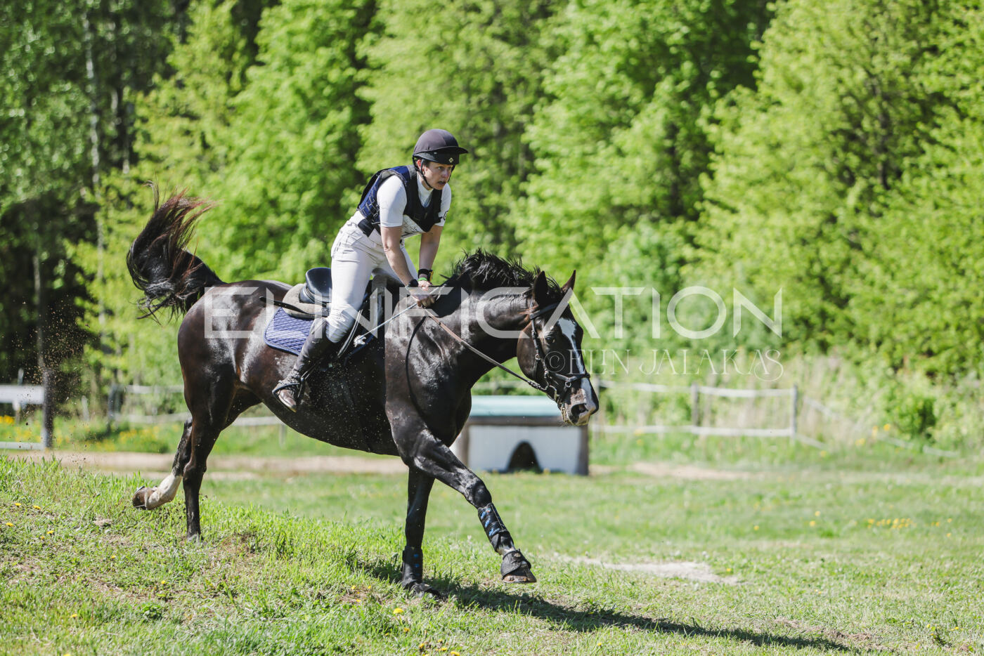 Parnu_CHI_3V_2026_CCN80_XC_350