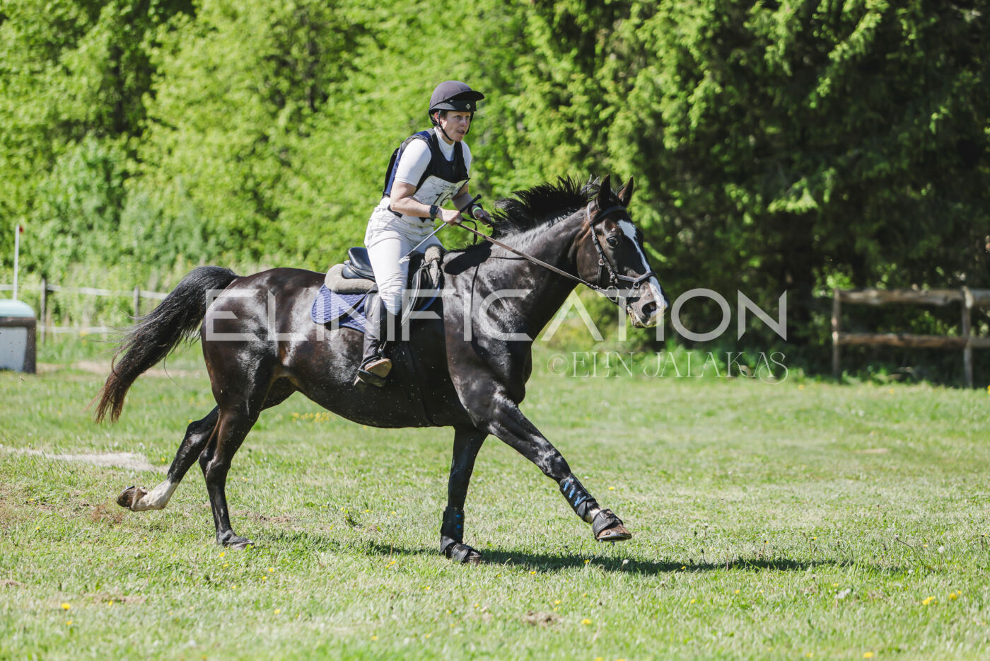 Parnu_CHI_3V_2026_CCN80_XC_351