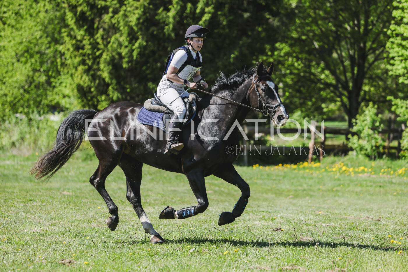 Parnu_CHI_3V_2026_CCN80_XC_352
