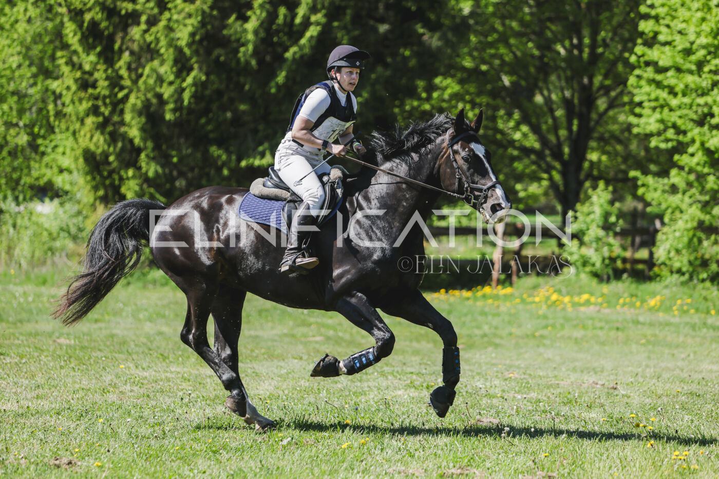 Parnu_CHI_3V_2026_CCN80_XC_353