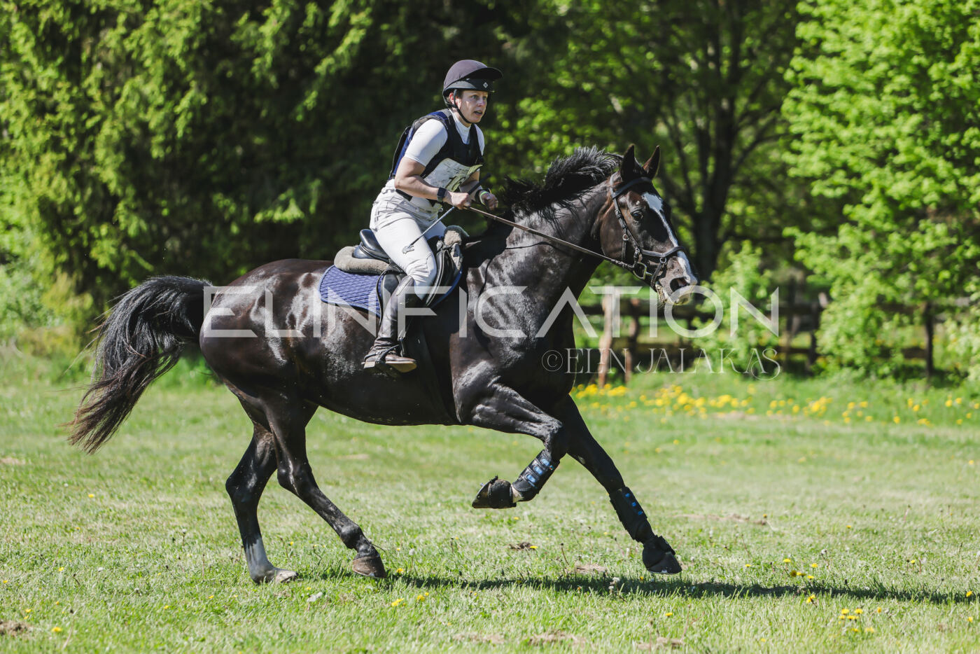 Parnu_CHI_3V_2026_CCN80_XC_354