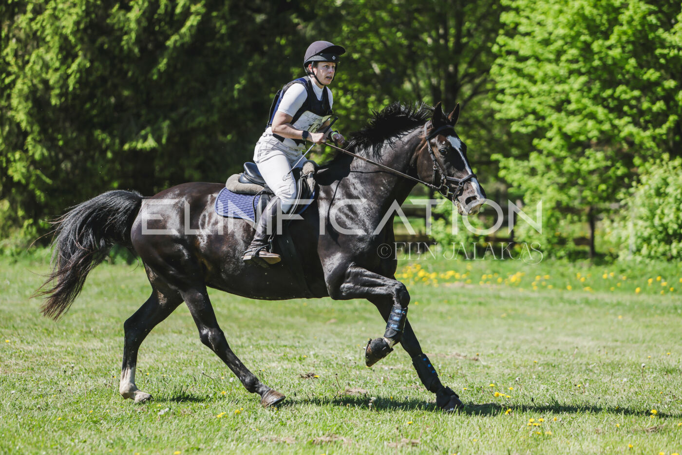 Parnu_CHI_3V_2026_CCN80_XC_355