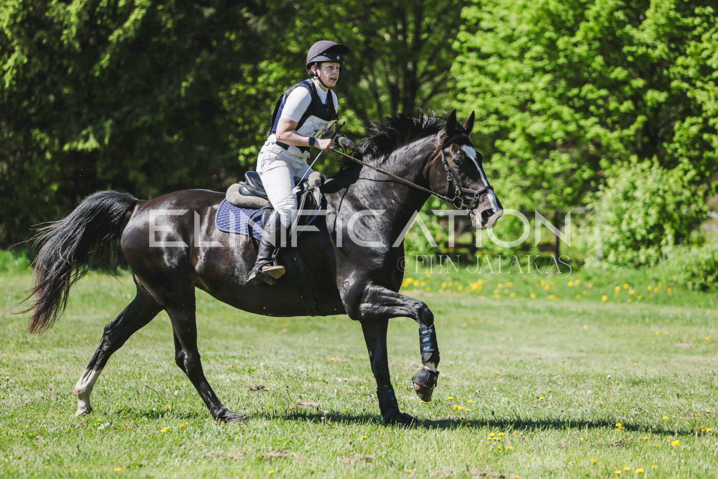 Parnu_CHI_3V_2026_CCN80_XC_356